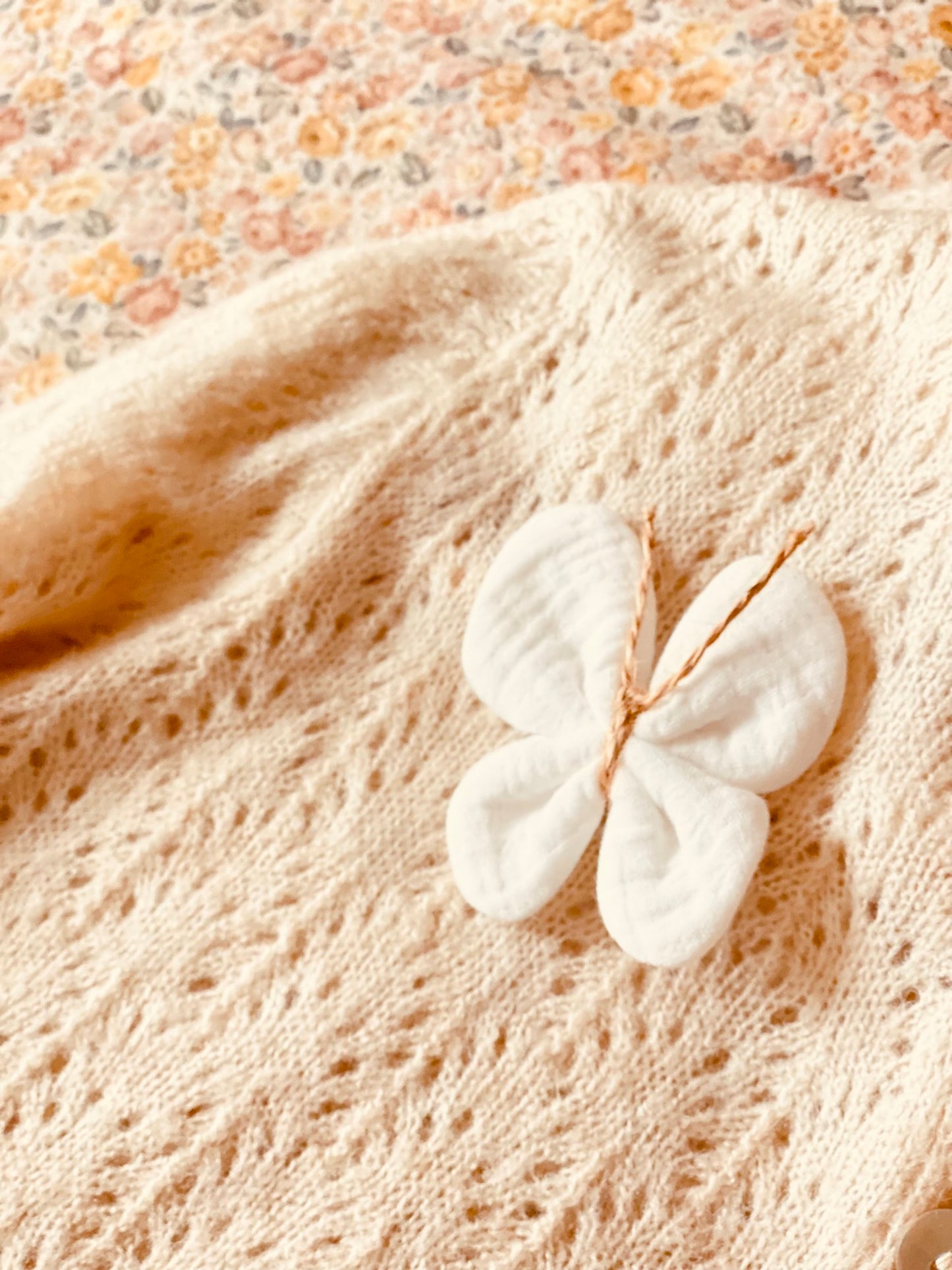 Mariposa Bambula Blanca