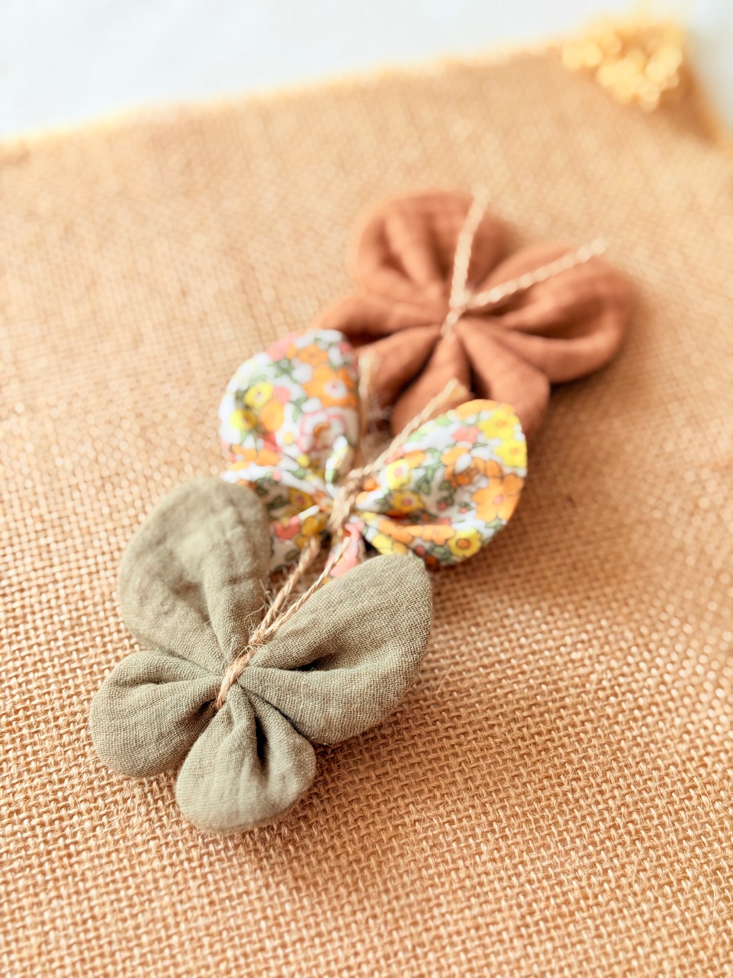 Mariposa York